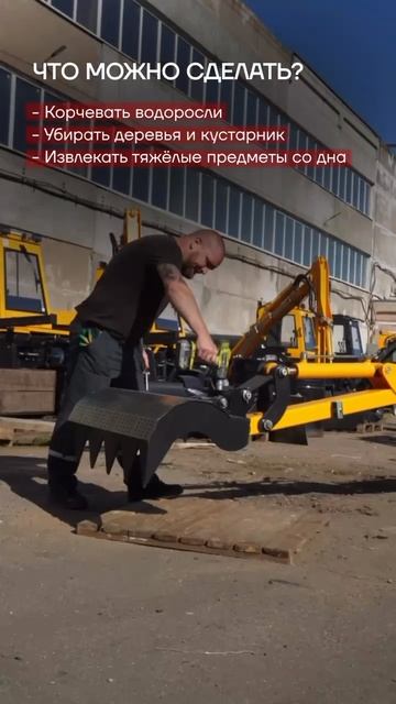 Вилы
