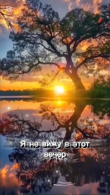 ЯРКОСТЬ КРАСОК И ЦВЕТОЧНАЯ ПАЛИТРА ЛЕПЕСТКОВ🍁