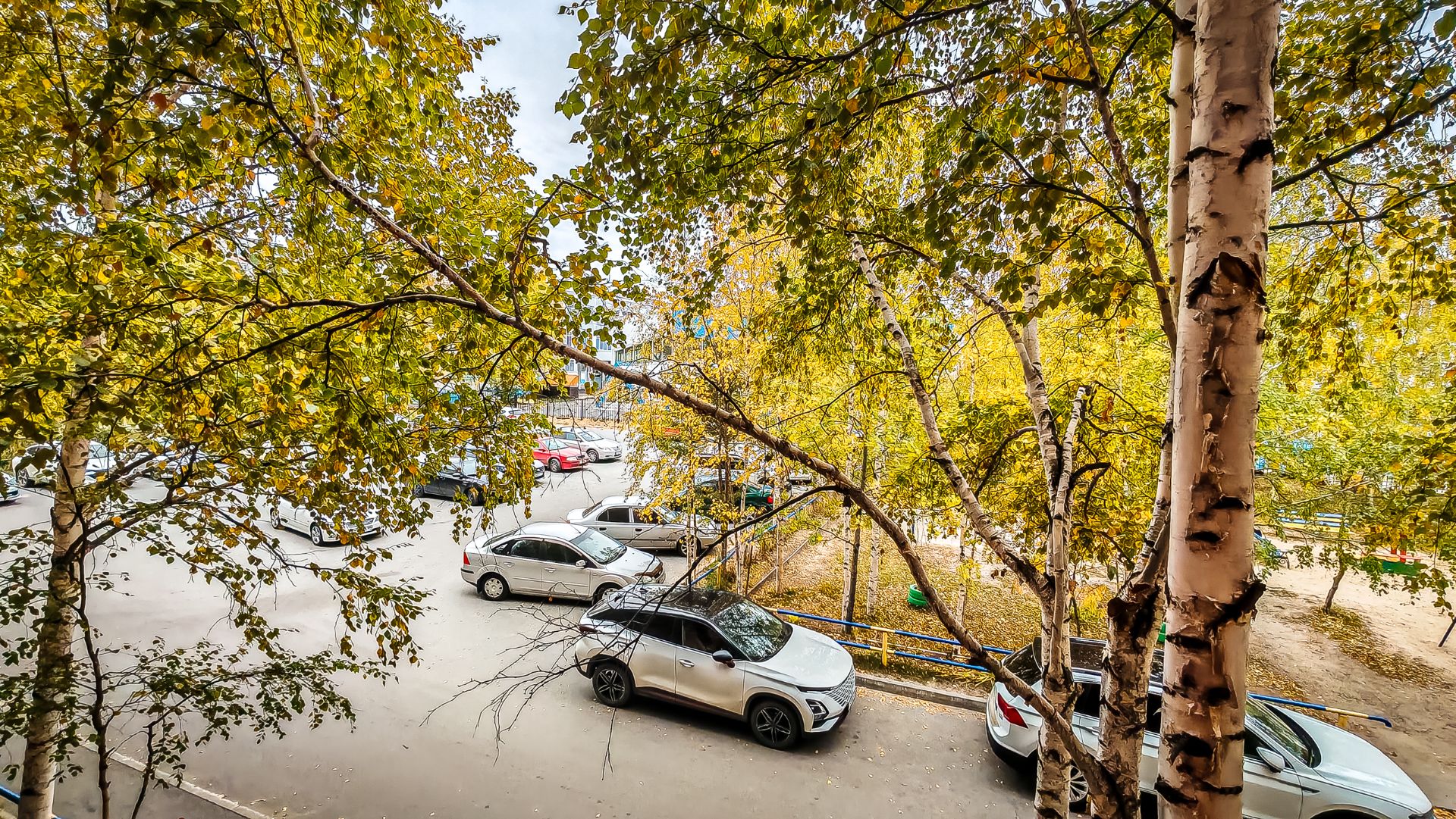14168873 Первопроходцев 7/1