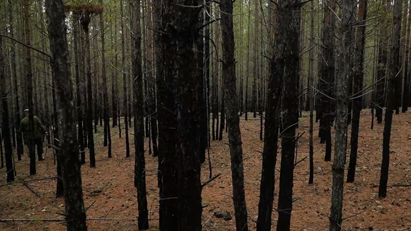 Пожары, протоколы, люди. Итоги горячего сезона в Улан-Удэ