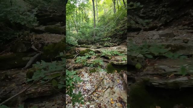 26-27 сентября. Поход к верхним водопадам Куаго с ночёвкой 🏕️