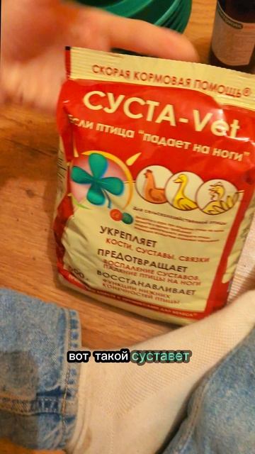 Индюшки проклюнулись.