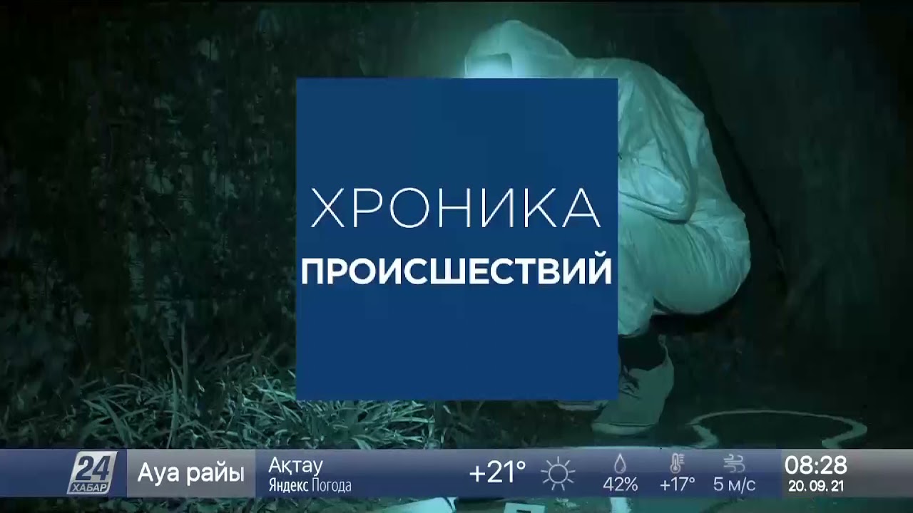 По видео из соцсетей нашли нарушителя в Павлодарской области