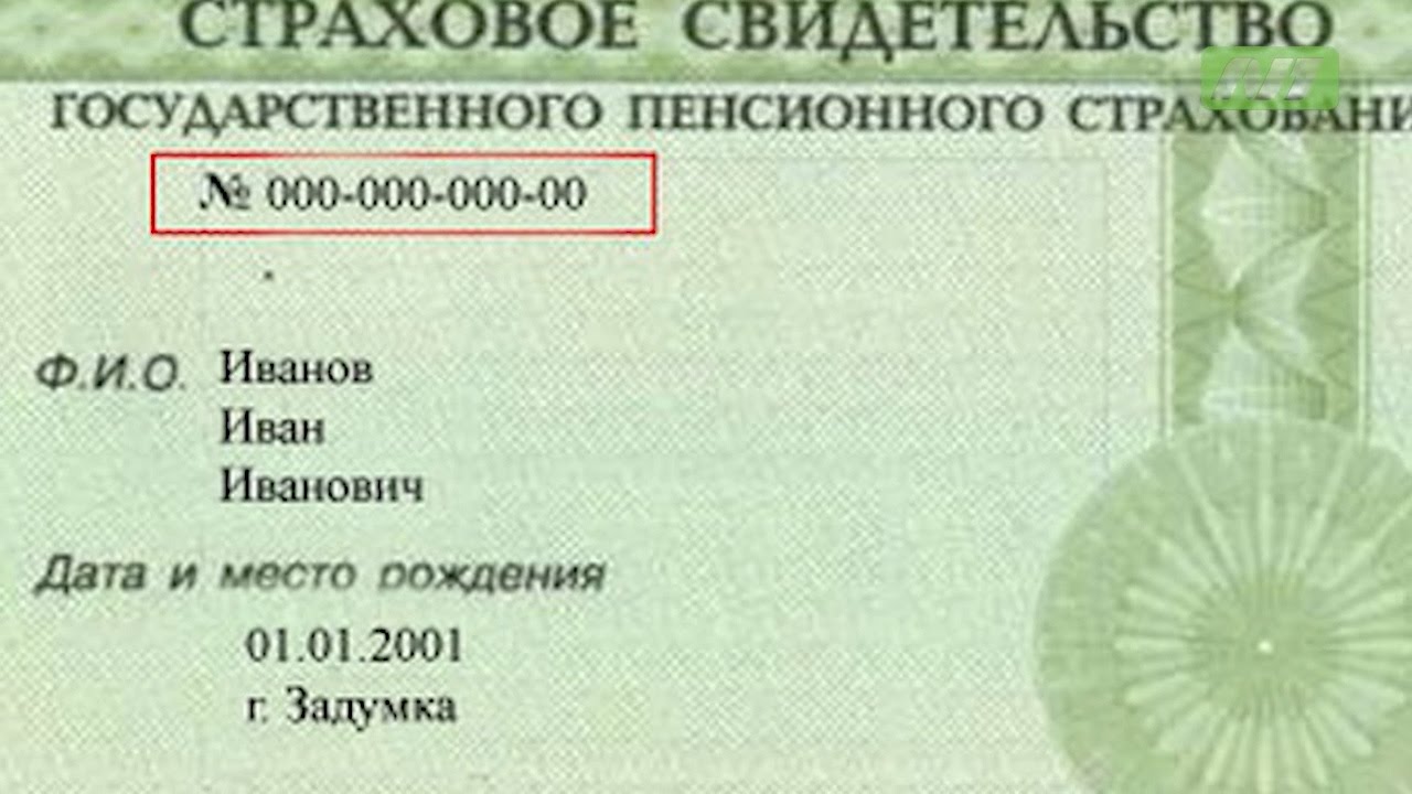 СНИЛС за 5 минут