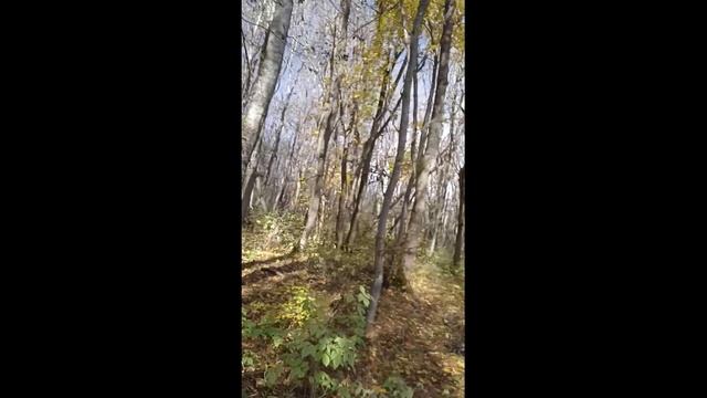 Красивая песня об осени