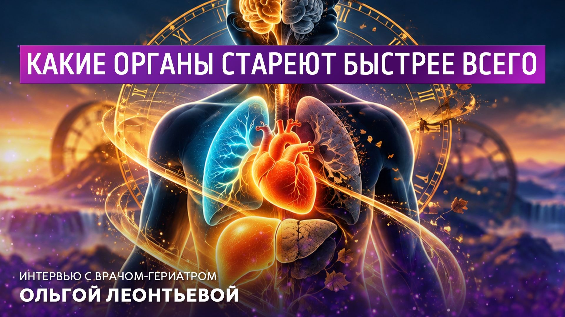 Какие органы стареют быстрее всего. Интервью с врачом-гериатром Ольгой Леонтьевой