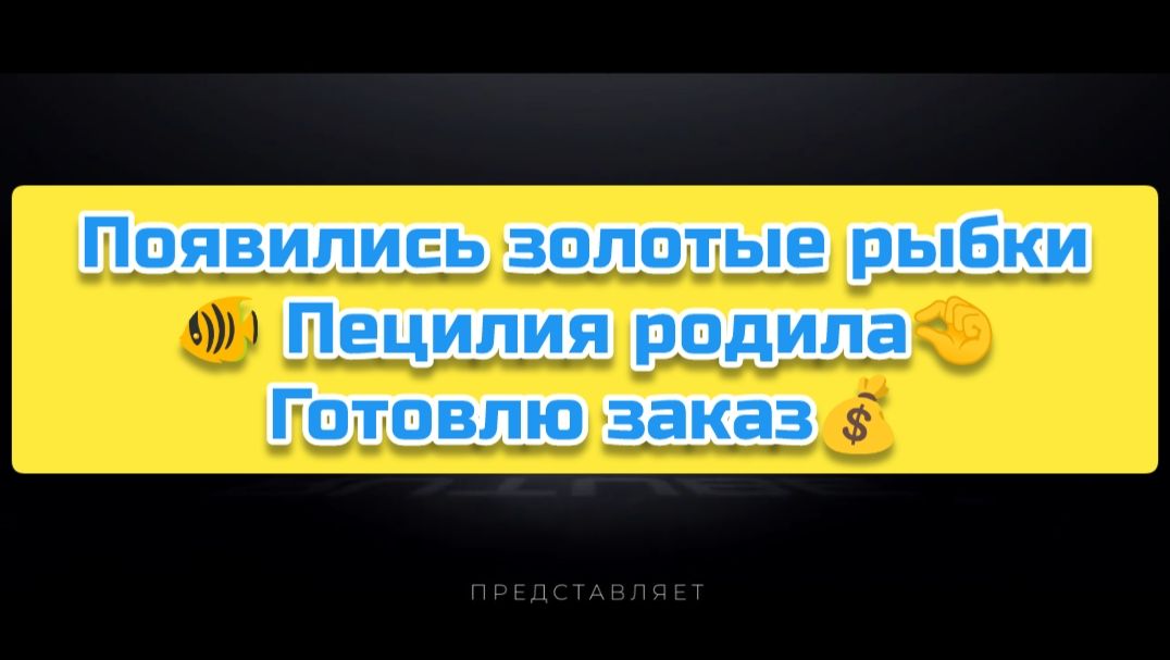 Появились золотые рыбки🐠 Пецилия родила🤏 Готовлю заказ💰