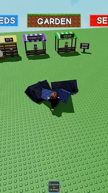 БАГ на ТЕЛЕПОРТАЦИЮ в Вырасти сад роблокс | Grow A Garden Roblox | Секрет селестибери (Celestiberry)