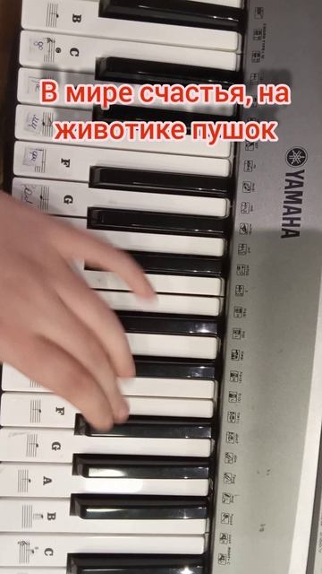 Милана Хаметова 