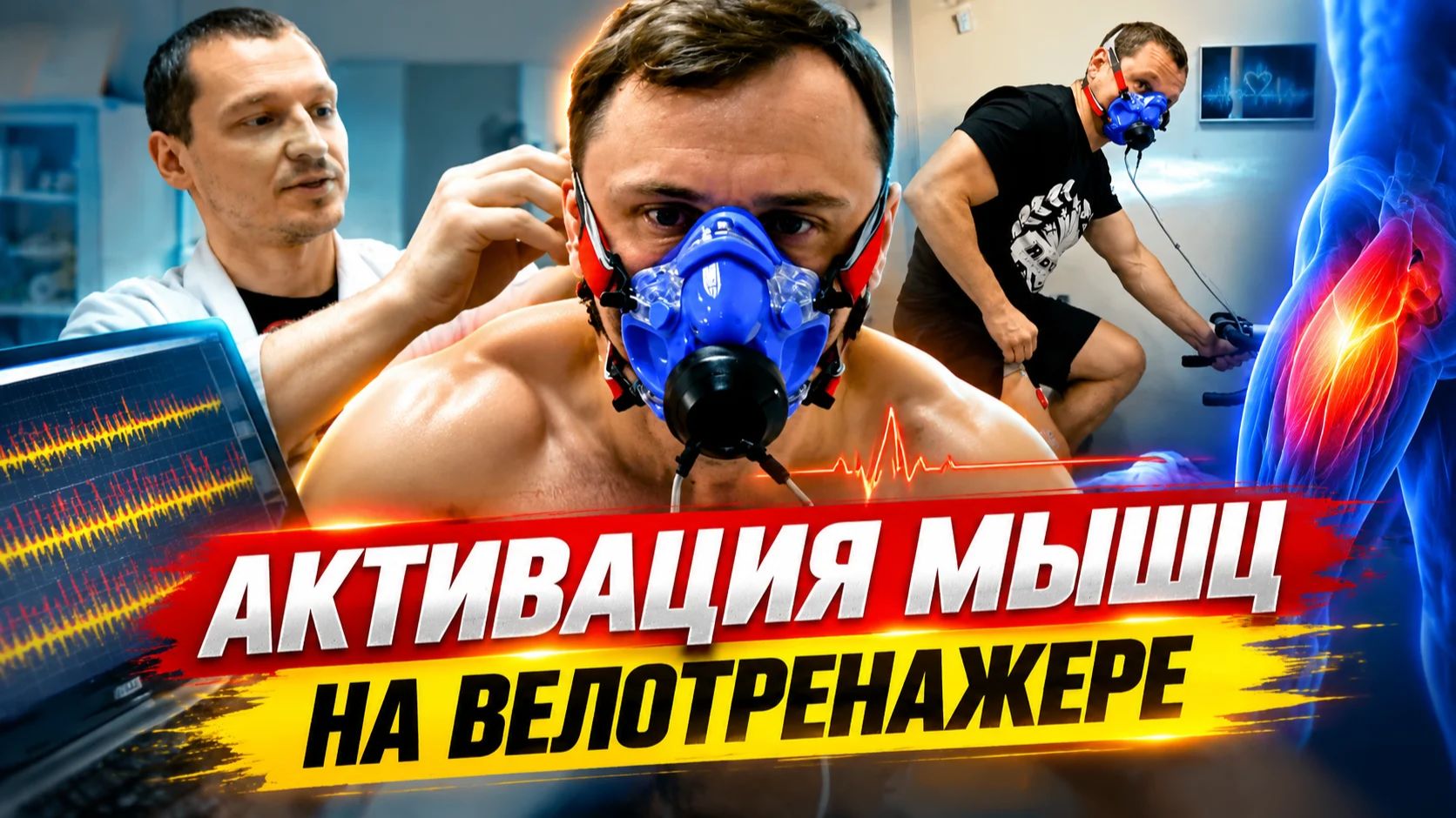 Наш эксперимент - активация мышц на велотренажере и при приседаниях со штангой