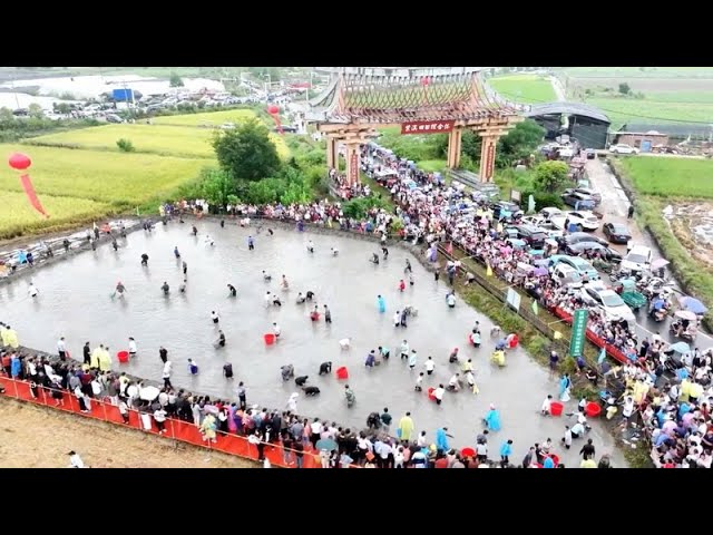 🏡Сельские туры стали модным трендом в Китае