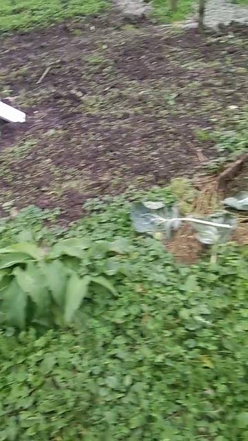 VID_20191013_125416