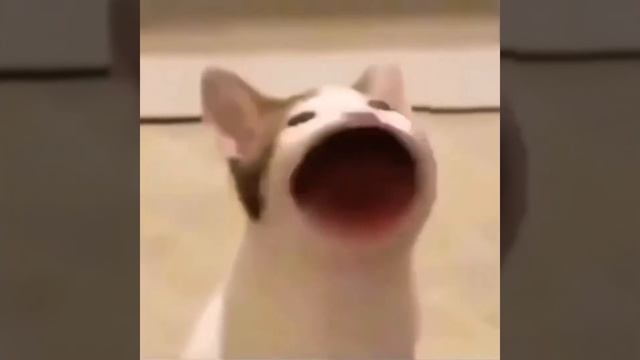 мне нечего делать