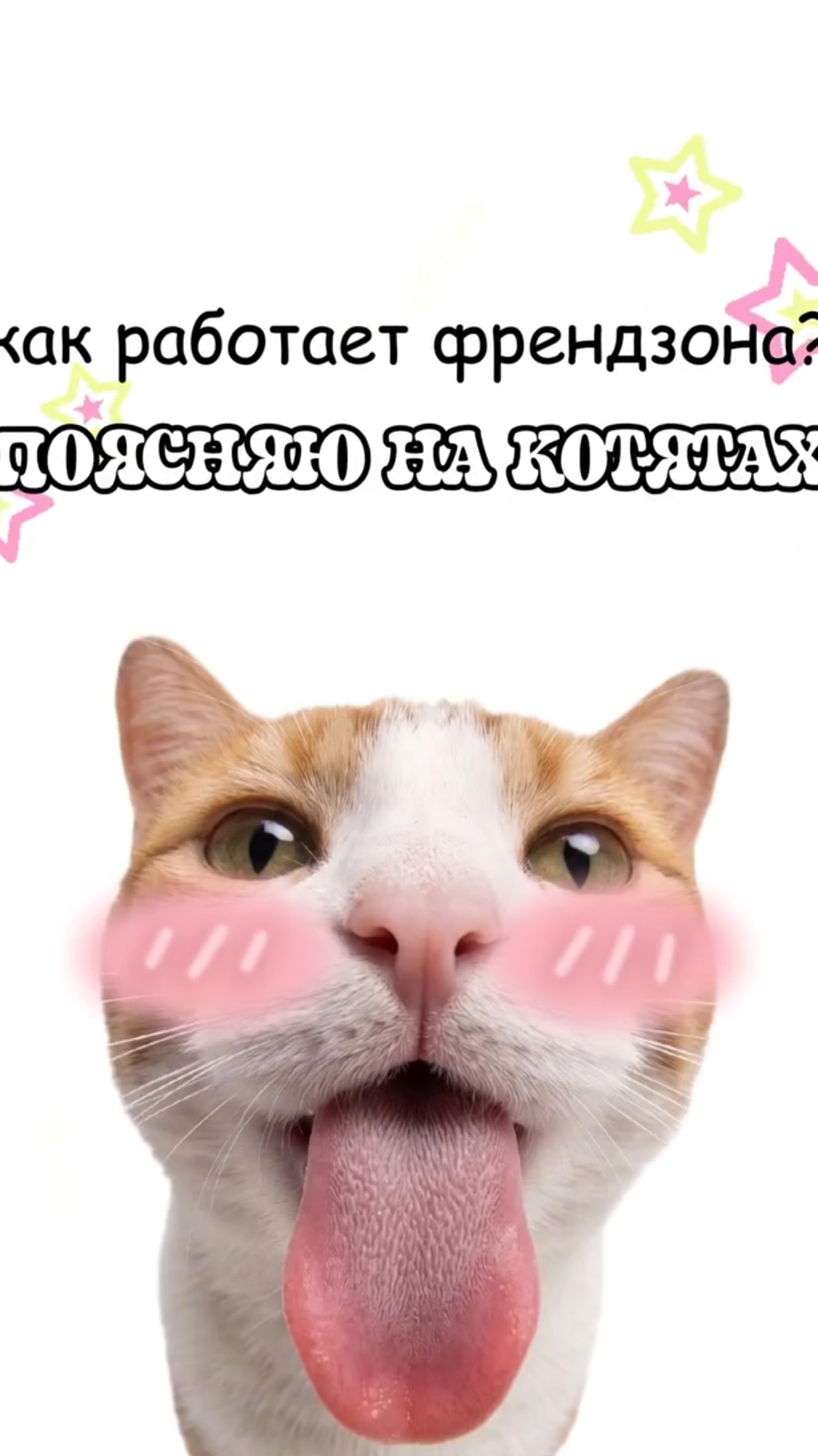 Как работает Френдзона?- Объясняю на котятах!