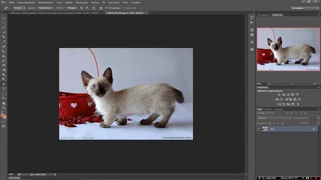 Мини урок/Adobe Photoshop CS6