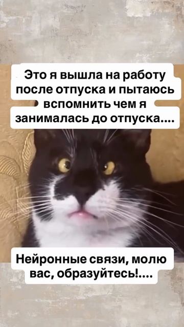 Я после отпуска😄