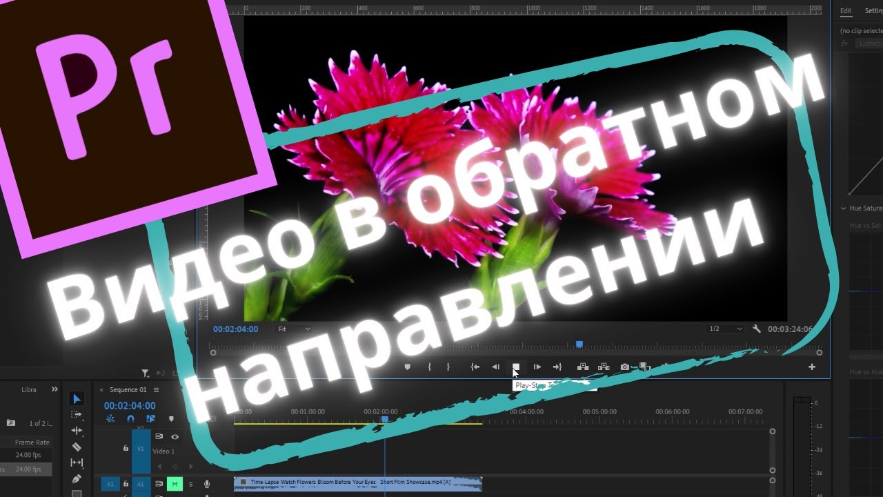 Видео в обратном направлении в Premiere Pro