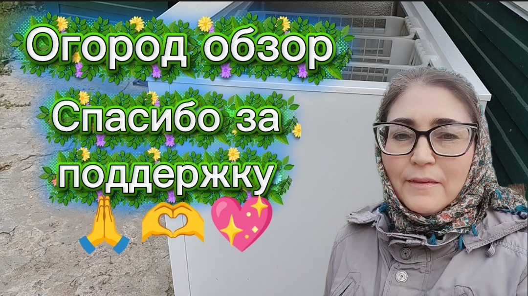 Огород в конце сентября пАмидора не удалась Огурцы ещё едим Сломался ларь