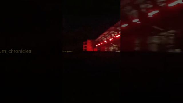 🔴Приключения свино-дальнобойщика на КПП «Черноморск» в Ильичёвске Одесской области.🔴