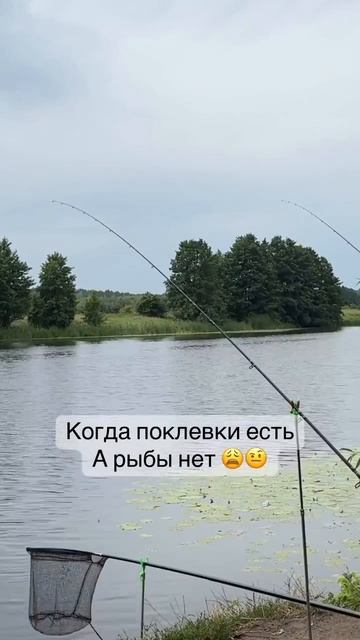 Вон оно что Михалыч