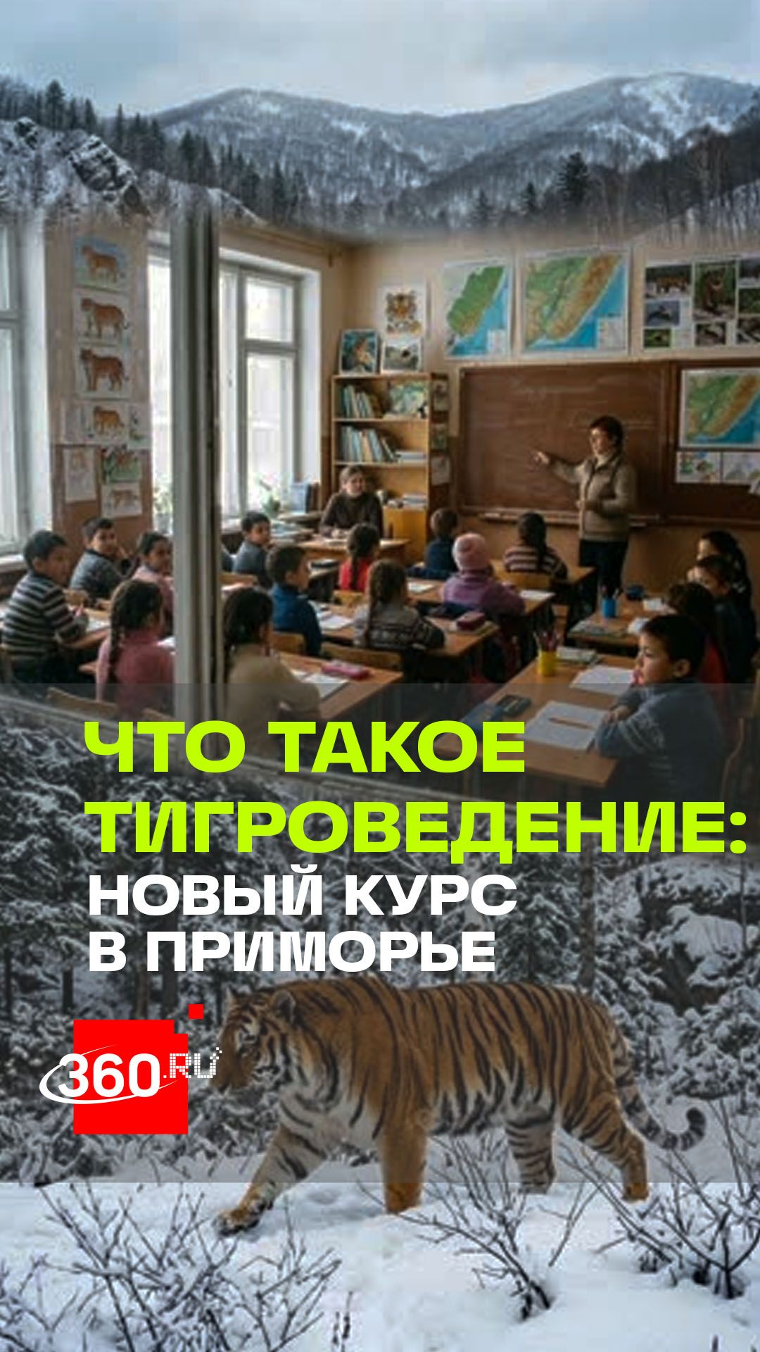 Тигроведение: новый курс о природе и истории края в Приморье