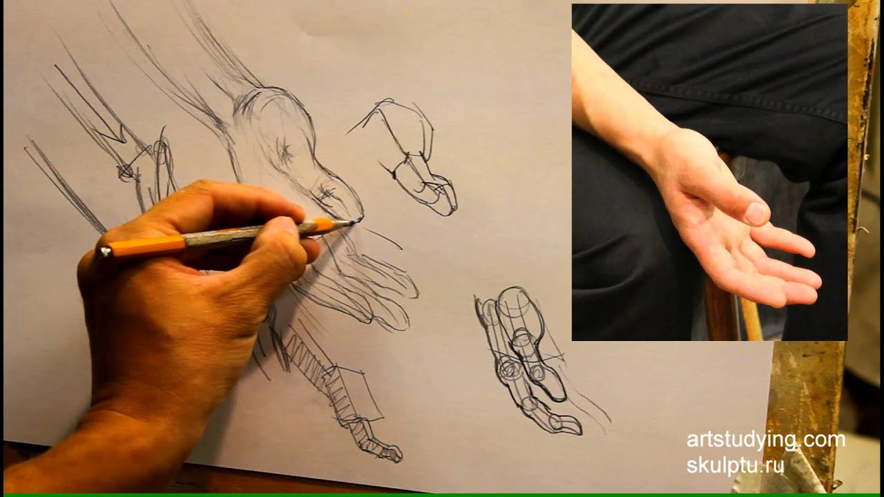 Руки, короткий, конструктив. Обучение рисунку.Фигура. 60 серия.
