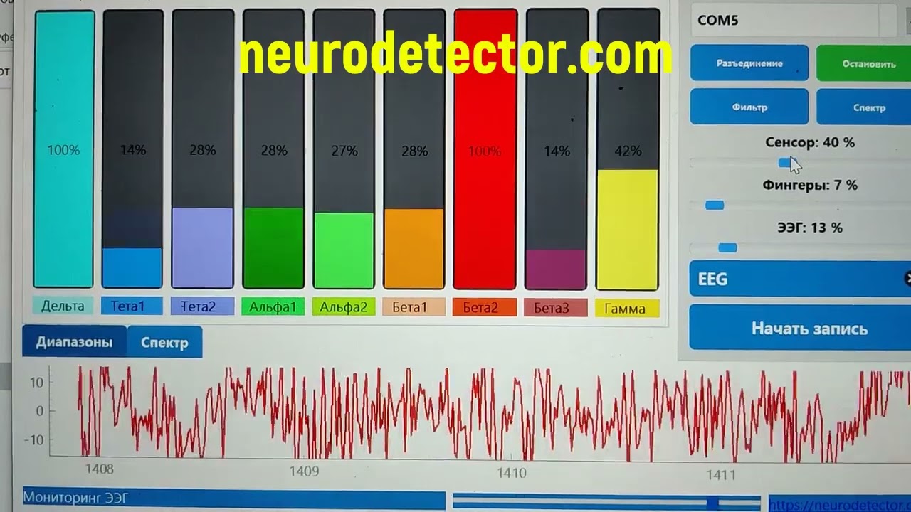 Нейродетектор примеры сессий NEURODETECTOR COM