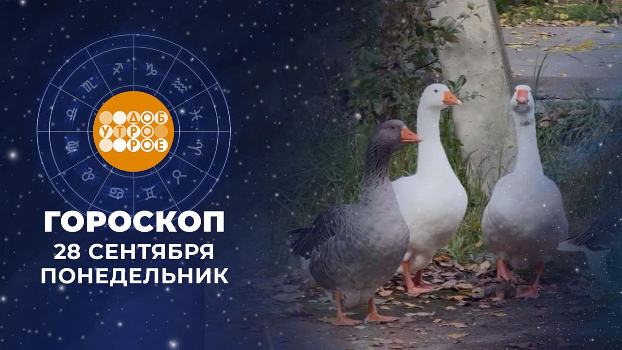 Гороскоп на 28 сентября. Доброе утро. Фрагмент выпуска от 28.09.2026