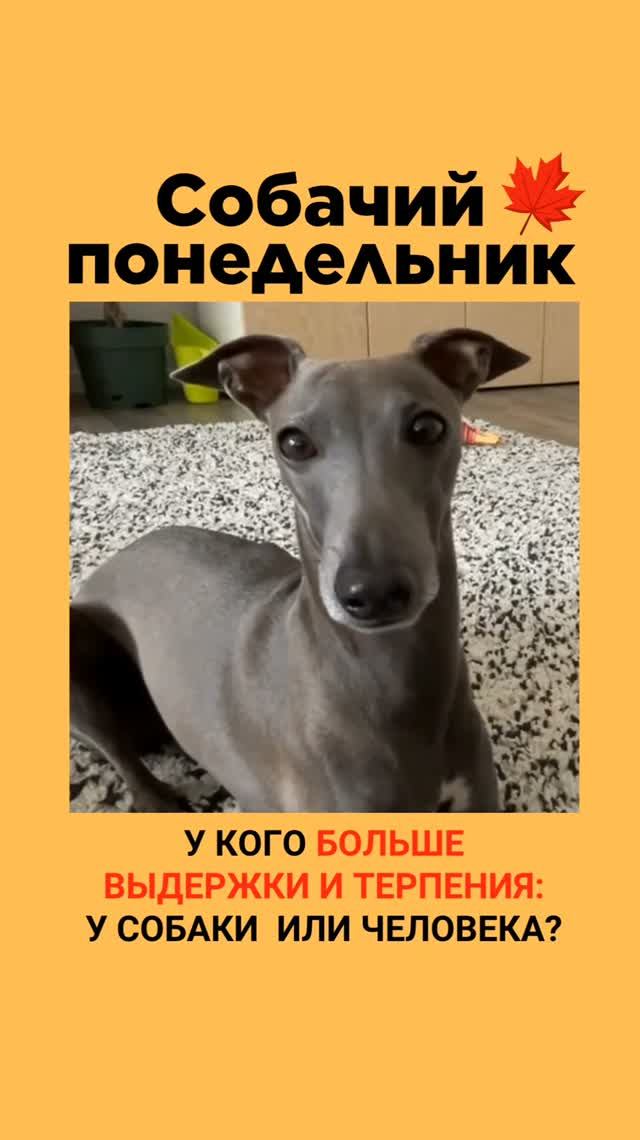КТО ПОБЕДИЛ В ЭКСПЕРИМЕНТЕ?
