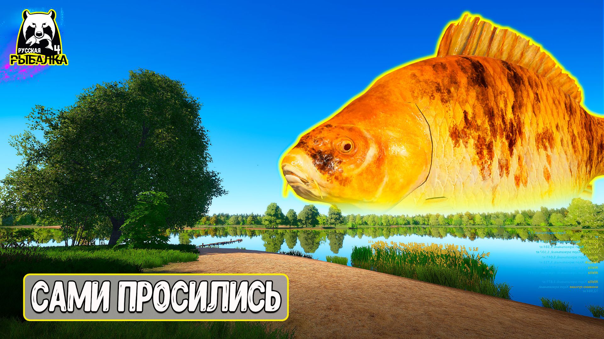В ЭТОТ РАЗ ЦВЕТНЯК МЕНЯ УДИВИЛ #рр4