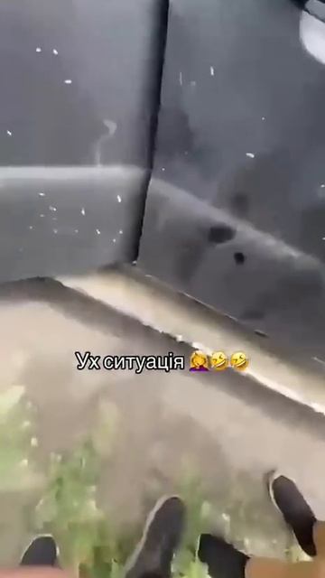 Не могли бы вы побыстрее покинуть плантацию, а то я вас сейчас немного ударю лопатой (в переводе на
