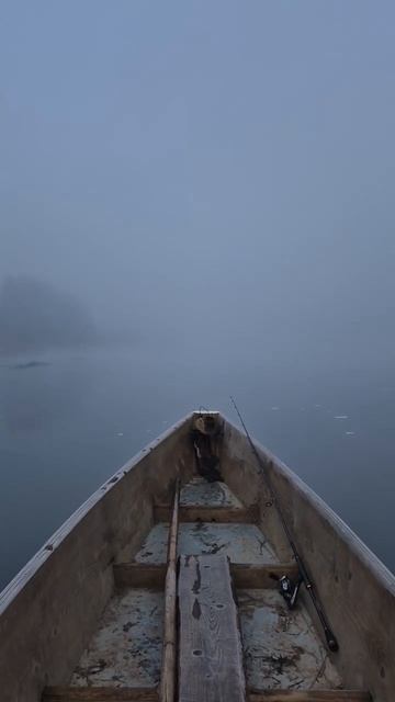 На рыбалку за окунем 🎣