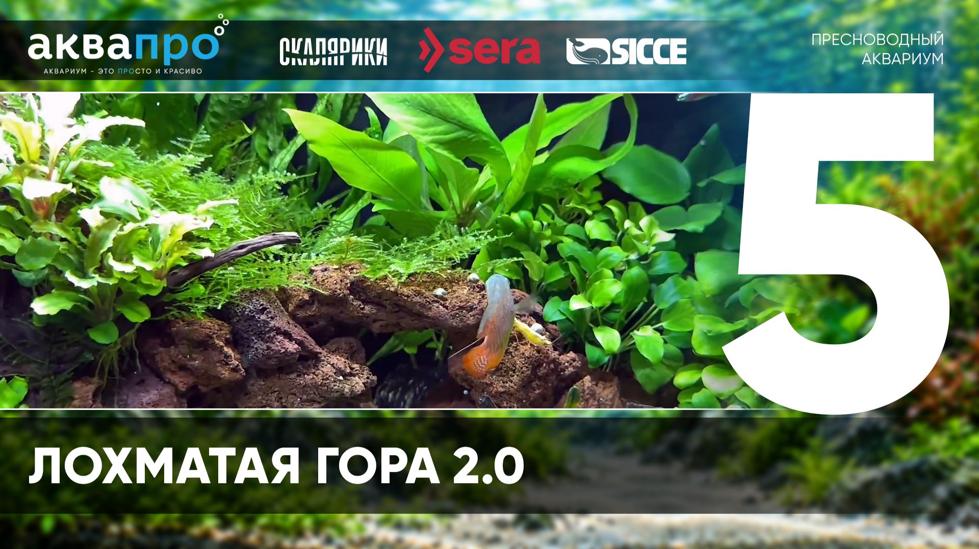 5. Лохматая гора 2.0 #АкваПро