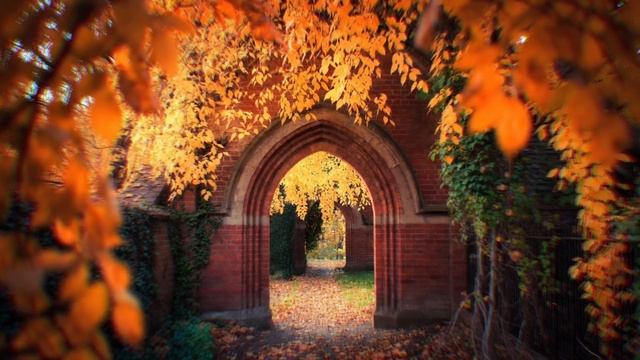 Through The Gate | Deep Liquid DnB 2 Hours