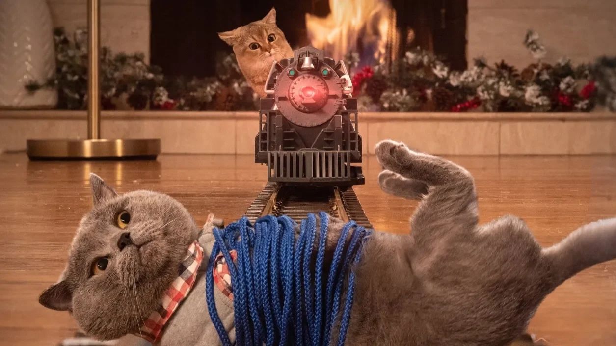 Поймай меня, если сможешь: котята и их няньки 🐾