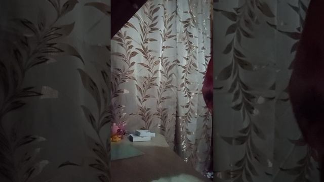герлянда
