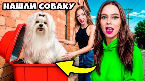 ЕЕ БРОСИЛИ ! МЫ нашли потерянную СОБАКУ! Что нам с ней делать  ДАБЛ БАБЛ Double Bubble
