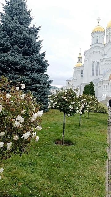 Дивеево. Сентябрь 2026г