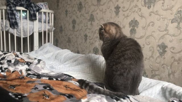 Беня и Ева