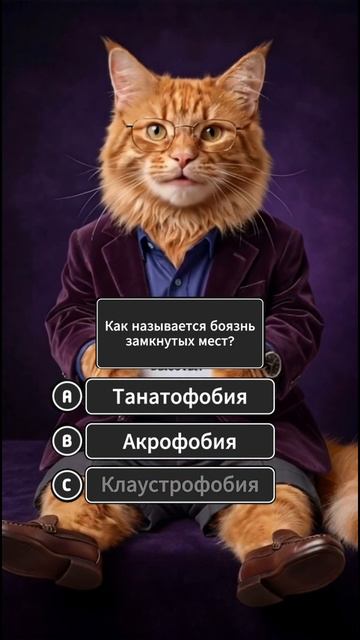 Викторина по общим вопросам