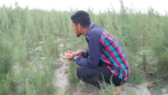 VID20210330180549