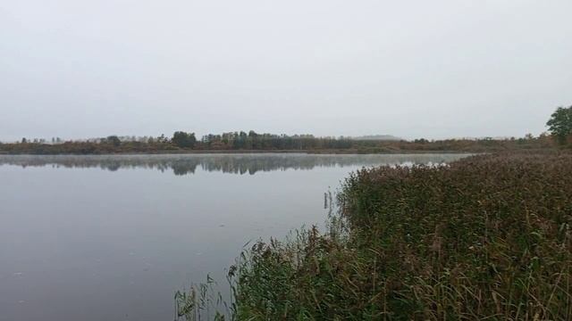 28 сентября 26год.