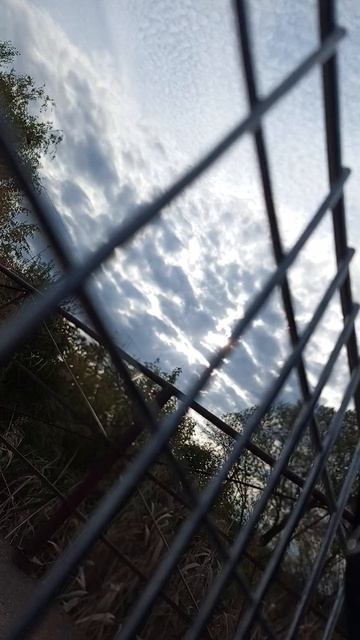 очень быстро лечу на велике