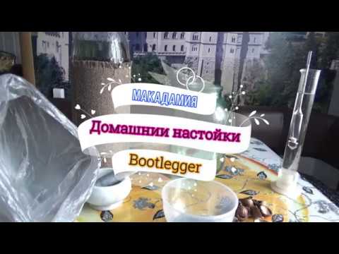 настойка на Макадамии