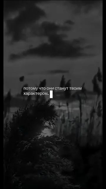 Мудрые мысли о жизни