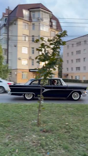 #shorts чайка
