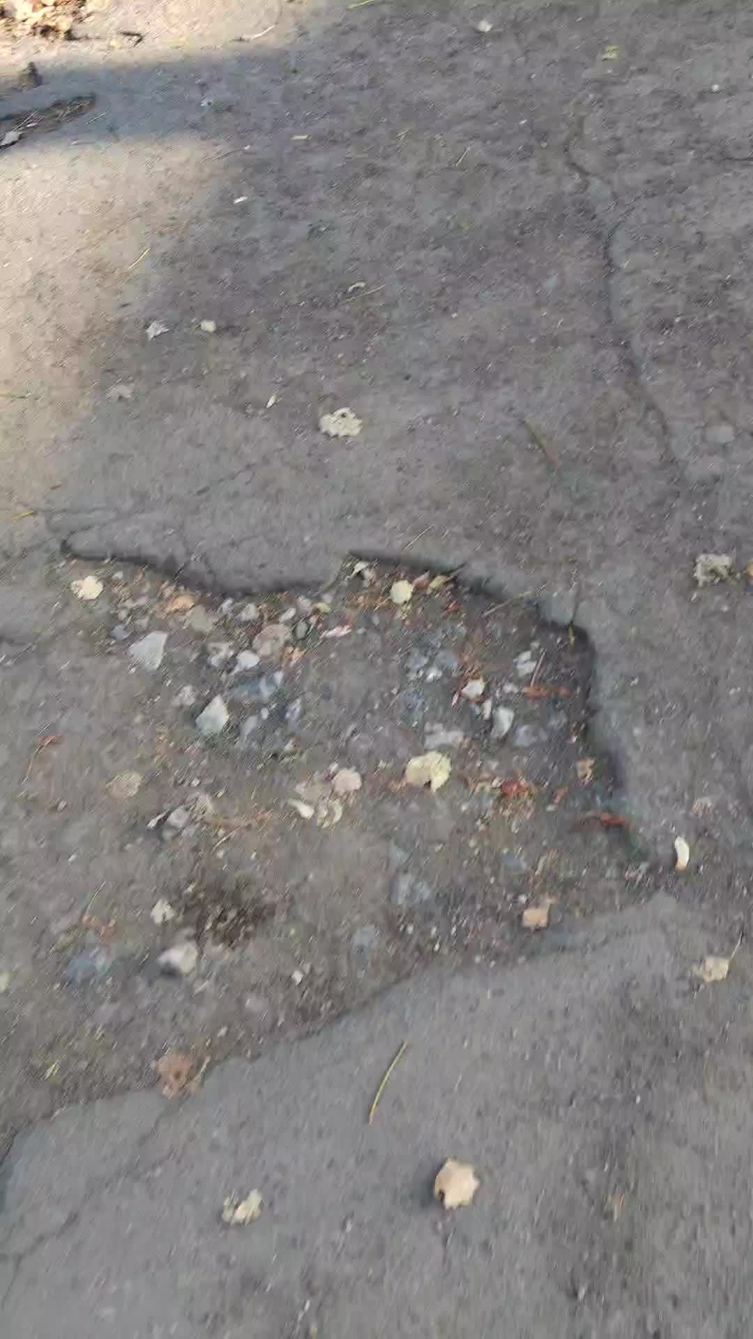 Донецк ДНР,мой сказ о том как в Москве я мужские параши с женскими путала 2204320468792355 озон
