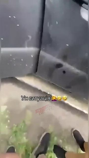 Рубрика: 