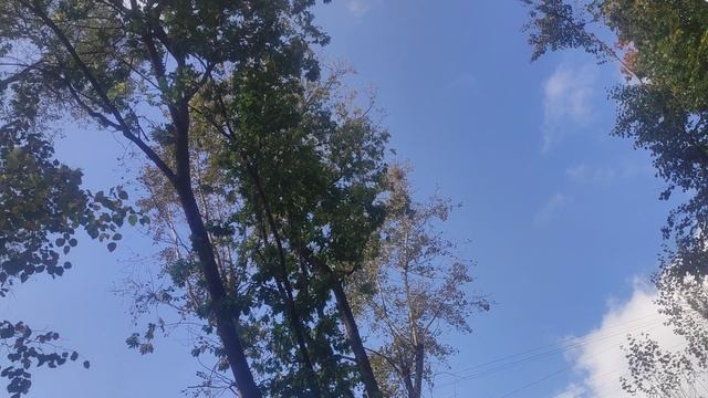 28 сентября