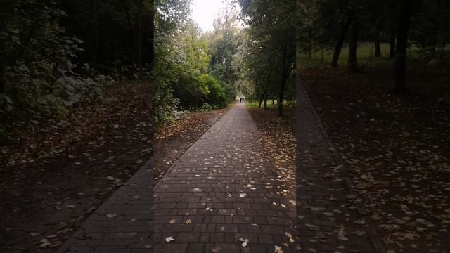 Прогулка по Козьему парку  в Орле